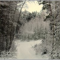 *** :: Aleksandr Gal