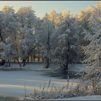 *** :: Aleksandr Gal