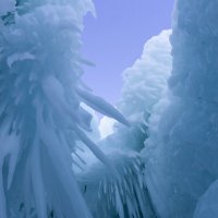 Перья :: Евгений Тарасов