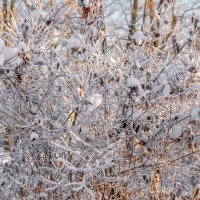 Январь :: Владимир Колесников