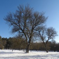 Зимний пейзаж :: Валентин Семчишин Зимний пейзаж :: Валентин Семчишин