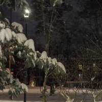 Вечерний Город :: юрий поляков