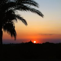 Из закатного :: svk *