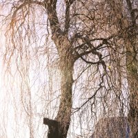 *1****** :: Сергей 