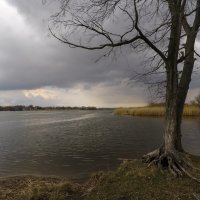 Дон. :: Александр. AVG100 ---