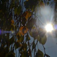 Солнышко)) :: Prizrak 777