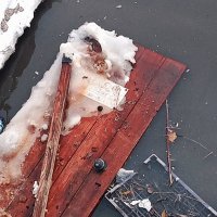 Реку очистили для уток. А люди опять за своё :: Игорь Солдаткин