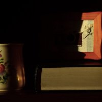 * :: Василий Палий