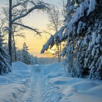 Мороз и солнце...День чудесный :: Наталья Воронцова