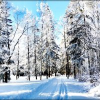 В Александровском парке ЦС :: Сергей 