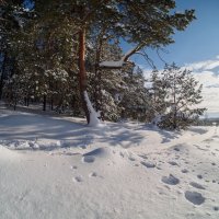 Солнечный юг...подмосковья. :: Николай 