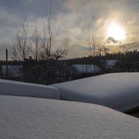 холода :: РозаВетроф 