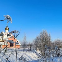 Последний день января. :: Ольга 