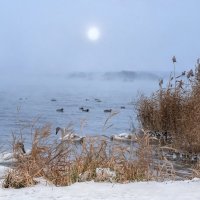 *** :: Viktoria Anufrieva *** :: Viktoria Anufrieva