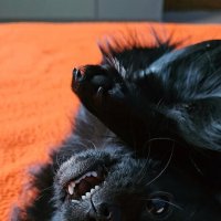 Моя любовь! ) :: Светлана 13.06.