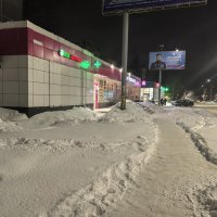 Морозный вечер 31-го января :: Olga Oskolkova