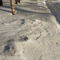 В Москве - снег.  Зима как-никак :-) :: Андрей Лукьянов