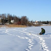 Не клюёт! :: Милешкин Владимир Алексеевич 
