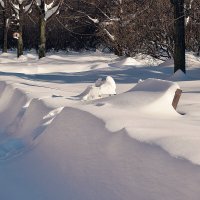 Под белым покрывалом января. :: Татьяна Помогалова