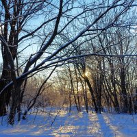 На краю глинтового парка :: Aida10 