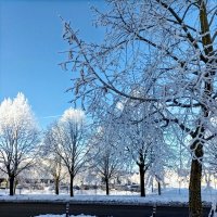 Мороз и солнце :: Veera V