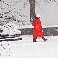 В Год Огненной лошади! :: Владимир 