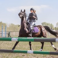 Конкур :: SanSan 