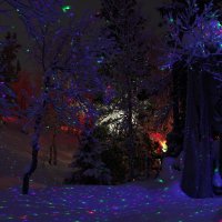 Таинственный лес :: Андрей C