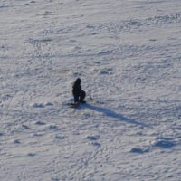 "Ловись рыбка большая и маленькая" :: Anna-Sabina Anna-Sabina