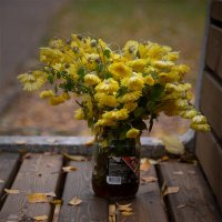 Прощальный.... :: Ирина С