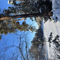 Конец января. Полдень. :: Ольга Савельева 