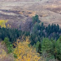 Адыгея.Плато Лаго-Наки. :: ирина )))