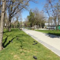 Весенний парк Тренёва :: Валентин Семчишин