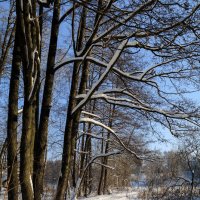 Зимняя дорога :: Roman stories -