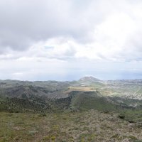 Природа Крыма :: Amazing Cosmea