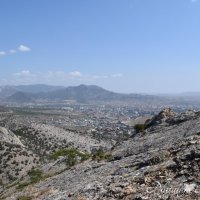 Природа Крыма :: Amazing Cosmea