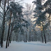 Зимний Красноярск :: Василий 