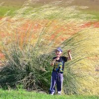 В хакасской степи. :: юрий Амосов