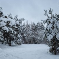 Зима :: Александр Синдерёв Зима :: Александр Синдерёв
