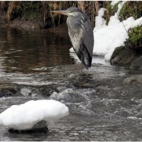 Вечор, ты помнишь, вьюга злилась, На мутном небе мгла носилась; Луна, как бледное пятно... :: "The Natural World" Александер