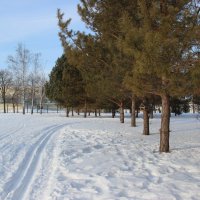 февраль :: Венера Чуйкова