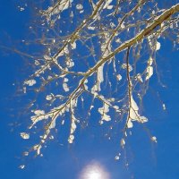 Лунная композиция :: Ирина Лесиканич Лунная композиция :: Ирина Лесиканич