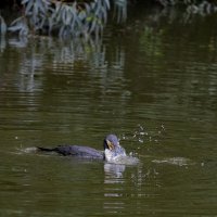 Ловись рыбка :: Владимир Сарычев Ловись рыбка :: Владимир Сарычев
