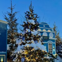 Цвет настроения - синий. :: Pippa 