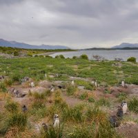 На дальних берегах... :: Владимир Жданов