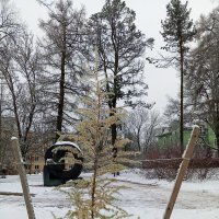 Лиственница :: Сапсан 