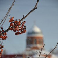 Рябина... :: Prizrak 777 Рябина... :: Prizrak 777