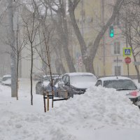 В снежном плену :: Татьяна Машошина