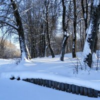 Зимний парк. :: Милешкин Владимир Алексеевич 