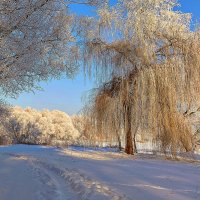 Зимнее настроение :: Игорь Сычёв